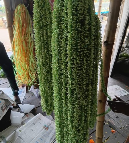 bc3af419-c3e7-46dd-bb1d-457faad5eef1